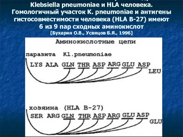 Схема антигенной мимикрии между Klebsiella pneumoniae и HLA человека. Гомологичный участок K.