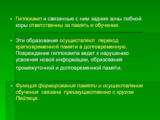 Гиппокамп и связанные с ним задние зоны лобной коры ответственны за память