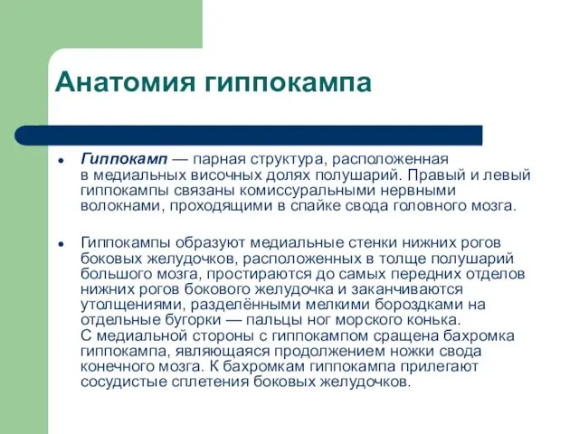 Анатомия гиппокампа Гиппокамп — парная структура, расположенная в медиальных височных долях полушарий.