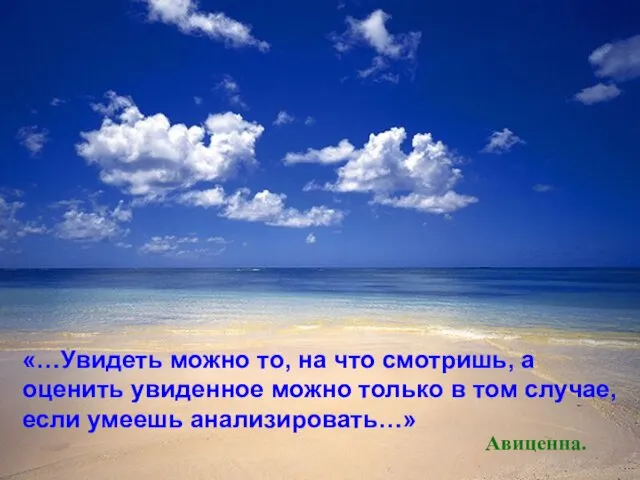 «…Увидеть можно то, на что смотришь, а оценить увиденное можно только в