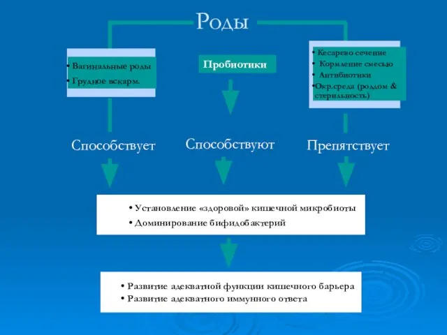 Способствует Роды Вагинальные роды Грудное вскарм. Кесарево сечение Кормление смесью Антибиотики Окр.среда