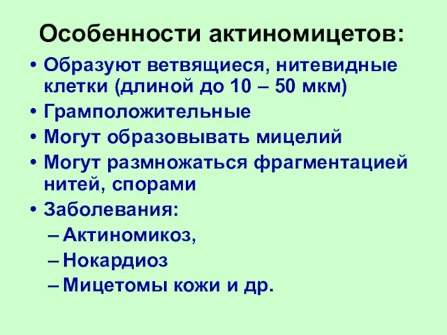 Особенности актиномицетов: Образуют ветвящиеся, нитевидные клетки (длиной до 10 – 50 мкм)