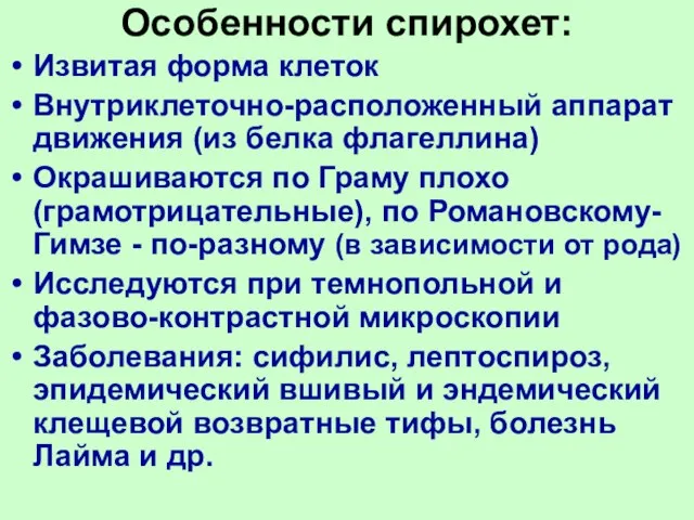 Особенности спирохет: Извитая форма клеток Внутриклеточно-расположенный аппарат движения (из белка флагеллина) Окрашиваются