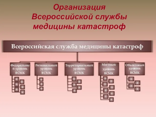 Организация Всероссийской службы медицины катастроф