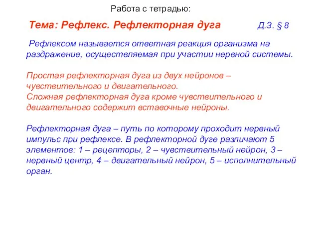 Тема: Рефлекс. Рефлекторная дуга Д.З. § 8 Рефлексом называется ответная реакция организма