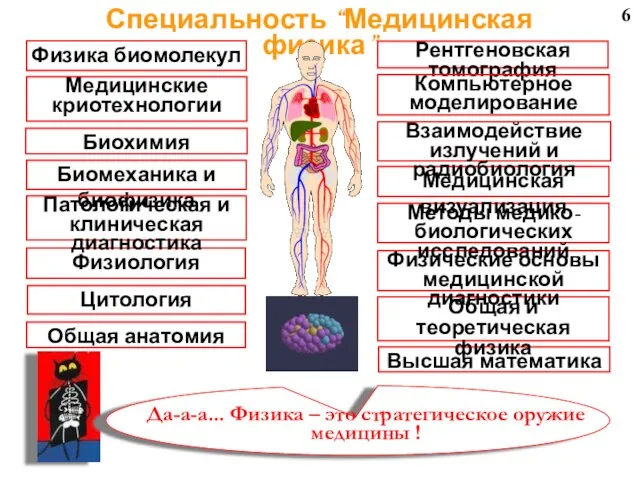 6 Специальность “Медицинская физика”