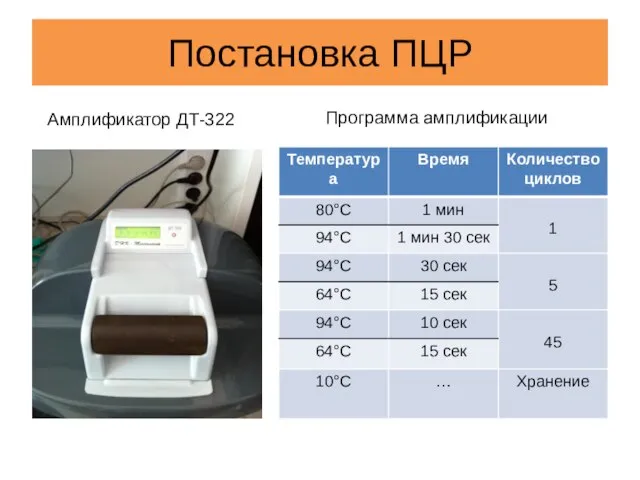 Постановка ПЦР Амплификатор ДТ-322 Программа амплификации