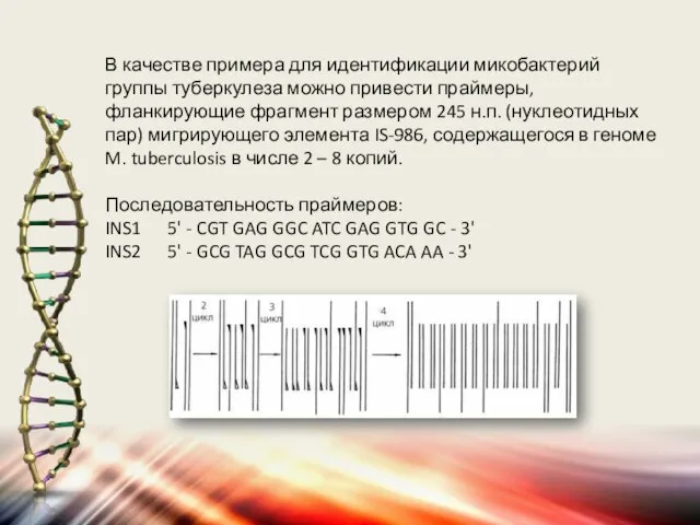 В качестве примера для идентификации микобактерий группы туберкулеза можно привести праймеры, фланкирующие