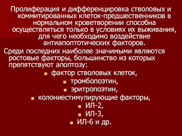 Пролиферация и дифференцировка стволовых и коммитированных клеток-предшественников в нормальном кроветворении способна осуществляться