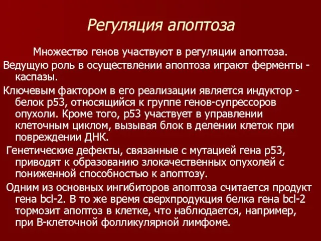 Регуляция апоптоза Множество генов участвуют в регуляции апоптоза. Ведущую роль в осуществлении