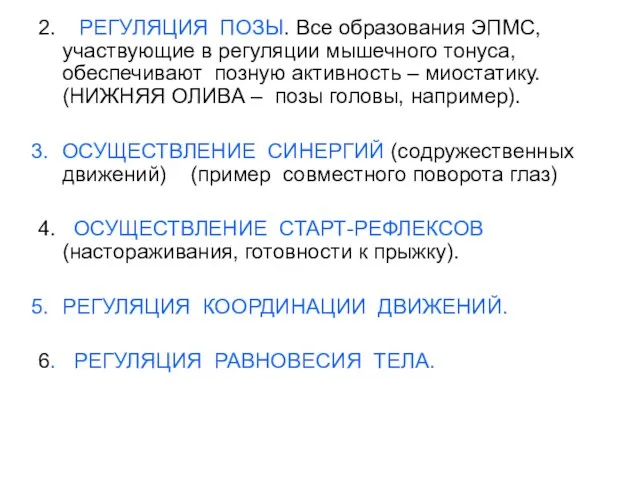 2. РЕГУЛЯЦИЯ ПОЗЫ. Все образования ЭПМС, участвующие в регуляции мышечного тонуса, обеспечивают