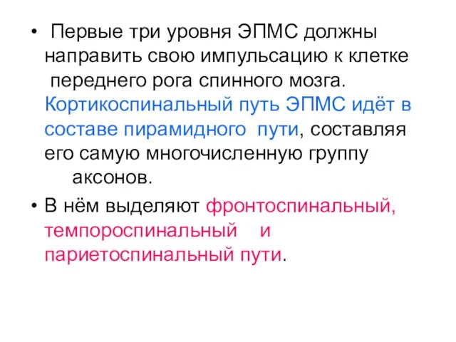 Первые три уровня ЭПМС должны направить свою импульсацию к клетке переднего рога