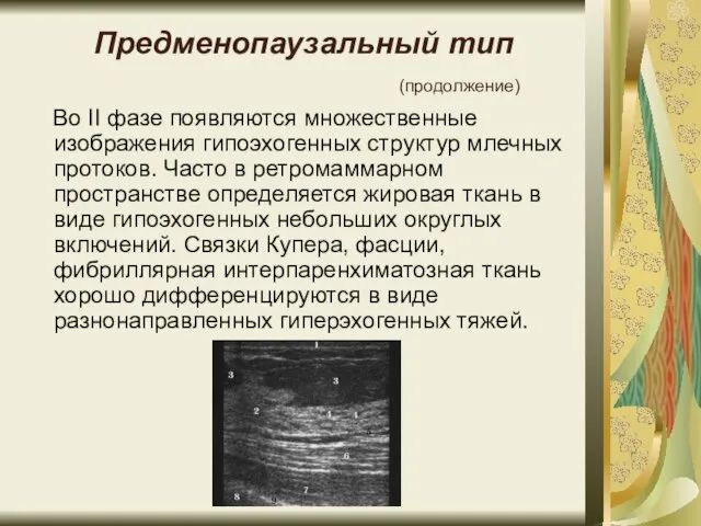 Предменопаузальный тип (продолжение) Во II фазе появляются множественные изображения гипоэхогенных структур млечных