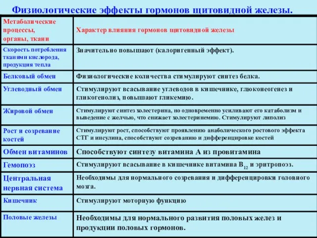 Физиологические эффекты гормонов щитовидной железы.