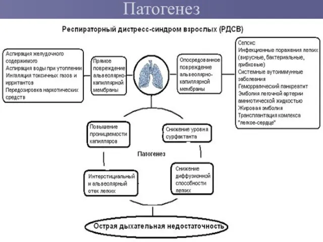 Патогенез