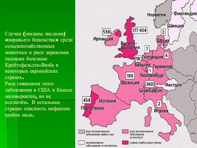 Случаи (указаны числами) «коровьего бешенства» среди сельскохозяйственных животных и риск заражения человека