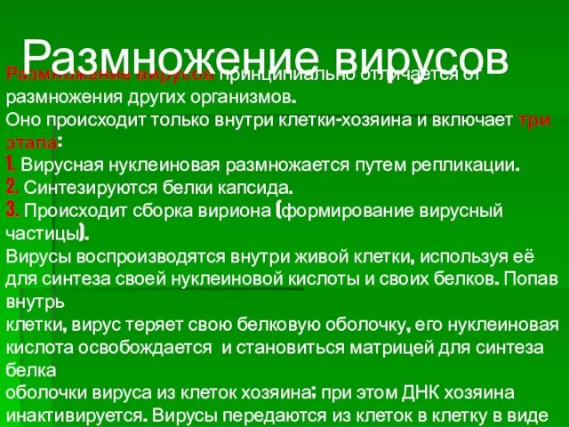 Размножение вирусов принципиально отличается от размножения других организмов. Оно происходит только внутри