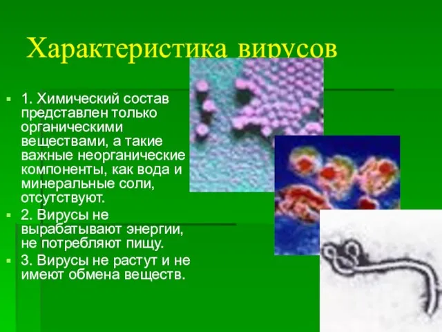 Характеристика вирусов 1. Химический состав представлен только органическими веществами, а такие важные