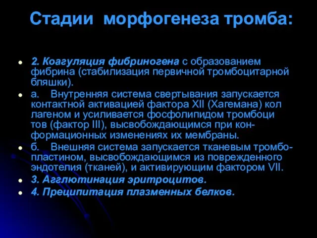 Стадии морфогенеза тромба: 2. Коагуляция фибриногена с образованием фибрина (стабилизация первичной тромбоцитарной