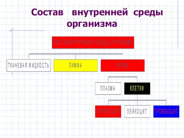 Состав внутренней среды организма