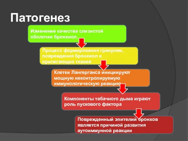 Патогенез Изменение качества слизистой оболочки бронхиол. Процесс формирования гранулем, повреждения бронхиол и