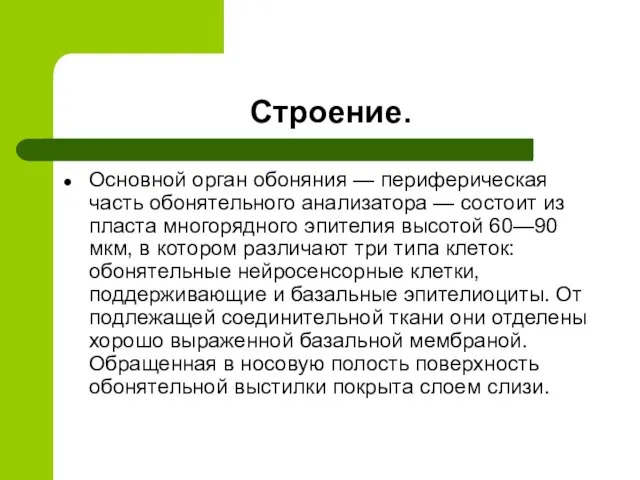 Строение. Основной орган обоняния — периферическая часть обонятельного анализатора — состоит из