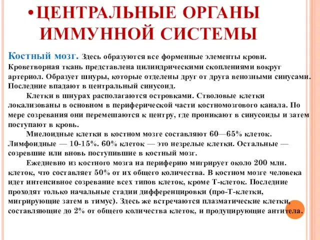 ЦЕНТРАЛЬНЫЕ ОРГАНЫ ИММУННОЙ СИСТЕМЫ Костный мозг. Здесь образуются все форменные элементы крови.