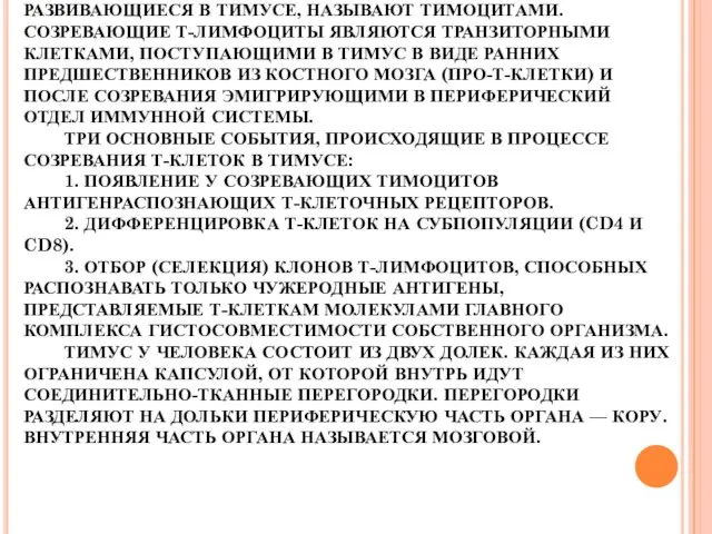 ТИМУС. СПЕЦИАЛИЗИРОВАН ИСКЛЮЧИТЕЛЬНО НА РАЗВИТИИ Т-ЛИМФОЦИТОВ. ИМЕЕТ ЭПИТЕЛИАЛЬНЫЙ КАРКАС, В КОТОРОМ РАЗВИВАЮТСЯ