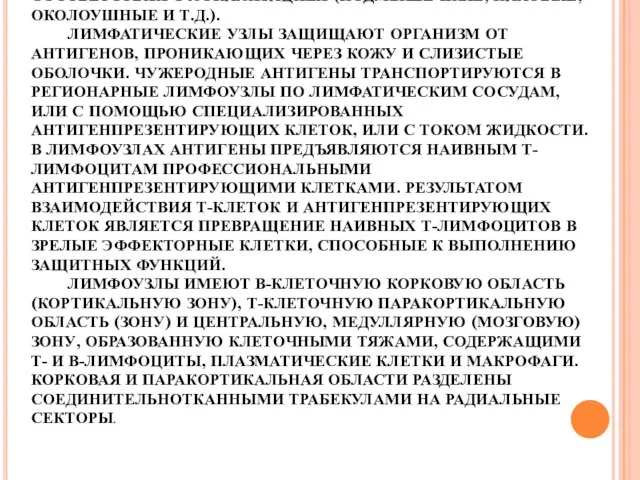 ЛИМФАТИЧЕСКИЕ УЗЛЫ СОСТАВЛЯЮТ ОСНОВНУЮ МАССУ ОРГАНИЗОВАННОЙ ЛИМФОИДНОЙ ТКАНИ. РАСПОЛОЖЕНЫ РЕГИОНАРНО И НОСЯТ