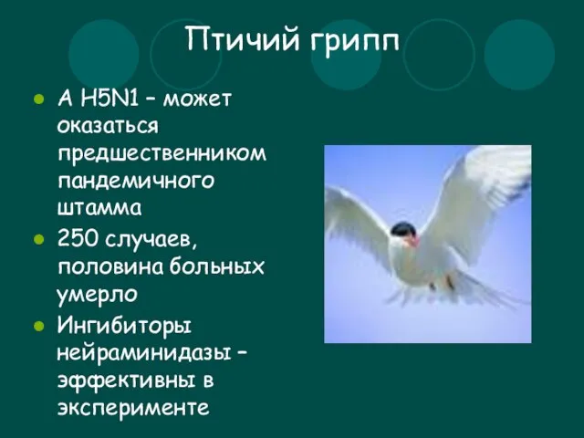 Птичий грипп А Н5N1 – может оказаться предшественником пандемичного штамма 250 случаев,