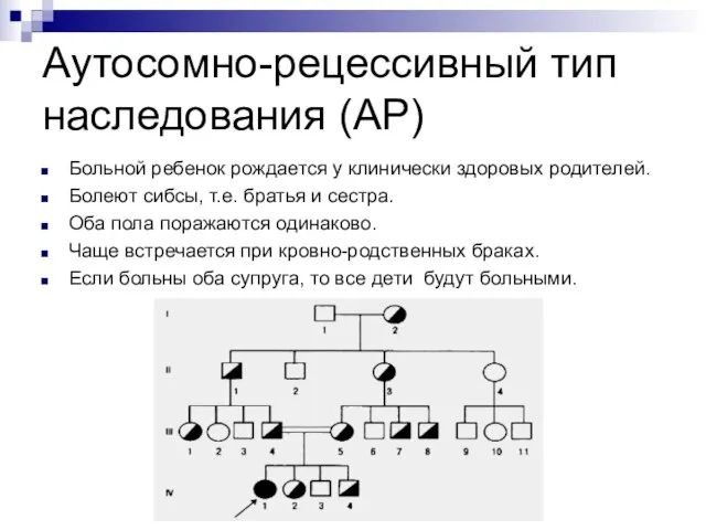 Аутосомно-рецессивный тип наследования (АР) Больной ребенок рождается у клинически здоровых родителей. Болеют