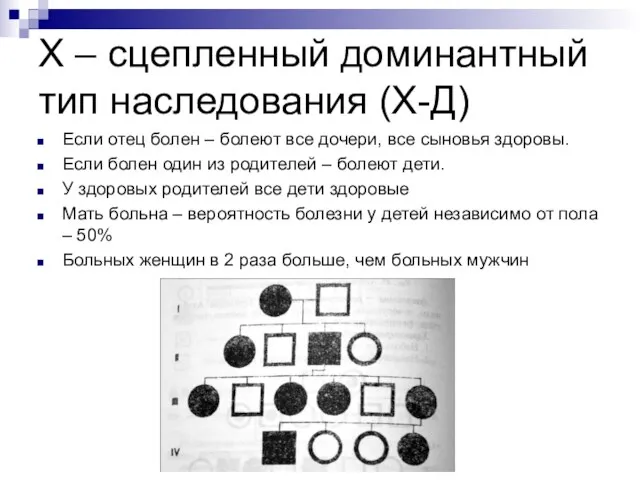 Х – сцепленный доминантный тип наследования (Х-Д) Если отец болен – болеют