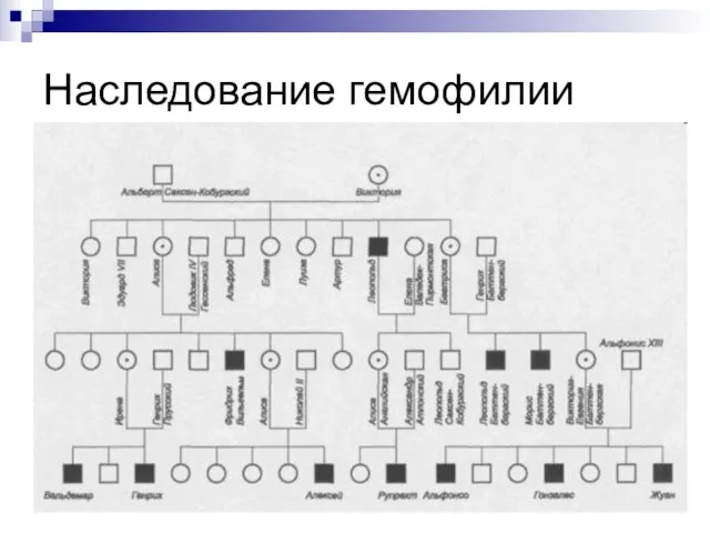 Наследование гемофилии