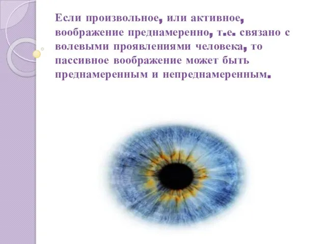 Если произвольное, или активное, воображение преднамеренно, т.е. связано с волевыми проявлениями человека,