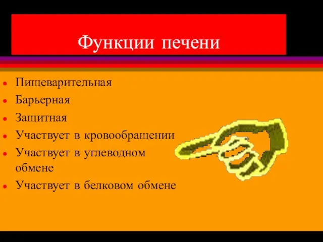 Функции печени Пищеварительная Барьерная Защитная Участвует в кровообращении Участвует в углеводном обмене Участвует в белковом обмене