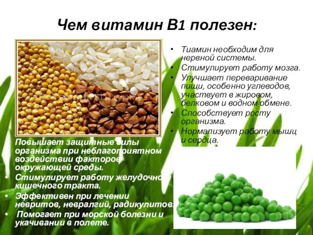 Чем витамин В1 полезен: Повышает защитные силы организма при неблагоприятном воздействии факторов