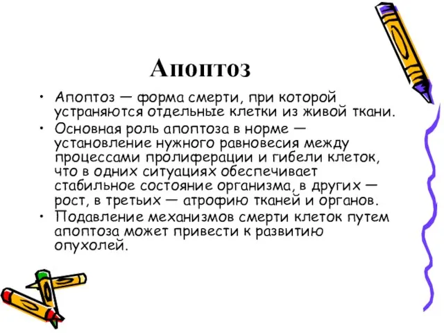 Апоптоз Апоптоз — форма смерти, при которой устраняются отдельные клетки из живой