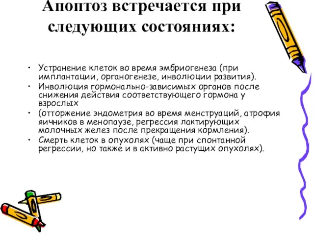 Апоптоз встречается при следующих состояниях: Устранение клеток во время эмбриогенеза (при имплантации,