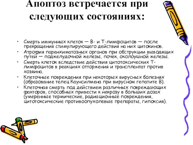 Апоптоз встречается при следующих состояниях: Смерть иммунных клеток — В- и Т-лимфоцитов