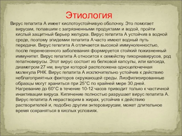 Вирус гепатита А имеет кислотоустойчивую оболочку. Это помогает вирусам, попавшим с загрязненными