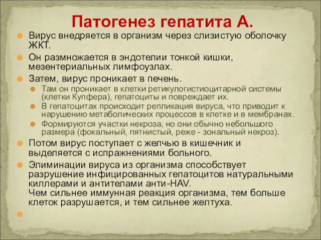 Патогенез гепатита А. Вирус внедряется в организм через слизистую оболочку ЖКТ. Он