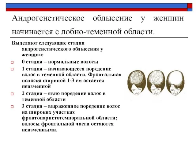 Андрогенетическое облысение у женщин начинается с лобно-теменной области. Выделяют следующие стадии андрогенетического