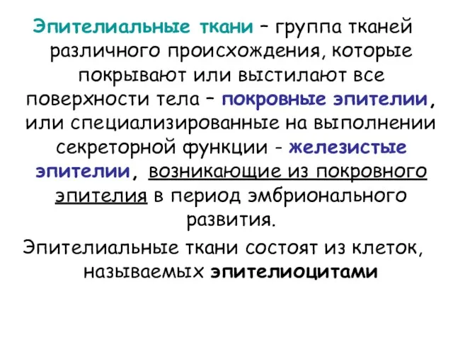 Эпителиальные ткани – группа тканей различного происхождения, которые покрывают или выстилают все