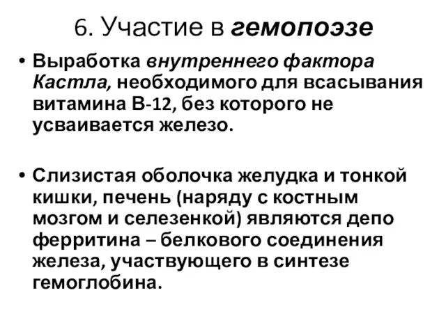 6. Участие в гемопоэзе Выработка внутреннего фактора Кастла, необходимого для всасывания витамина