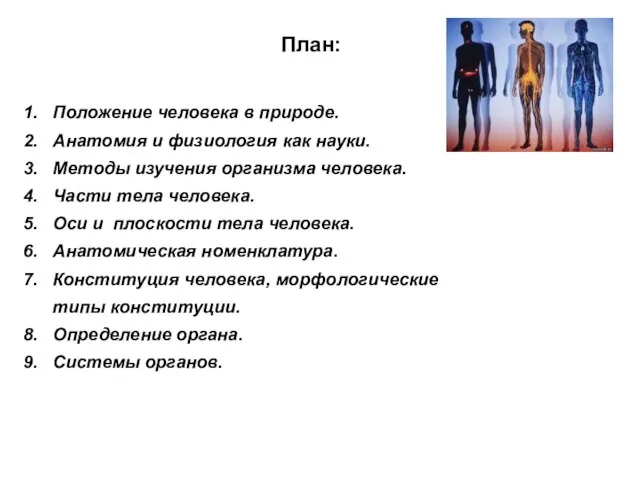 План: Положение человека в природе. Анатомия и физиология как науки. Методы изучения