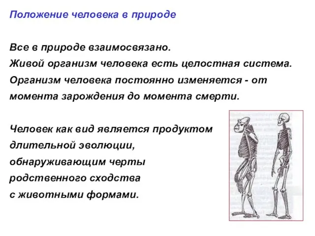 Положение человека в природе Все в природе взаимосвязано. Живой организм человека есть