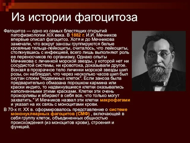 Из истории фагоцитоза Фагоцитоз — одно из самых блестящих открытий патофизиологии XIX