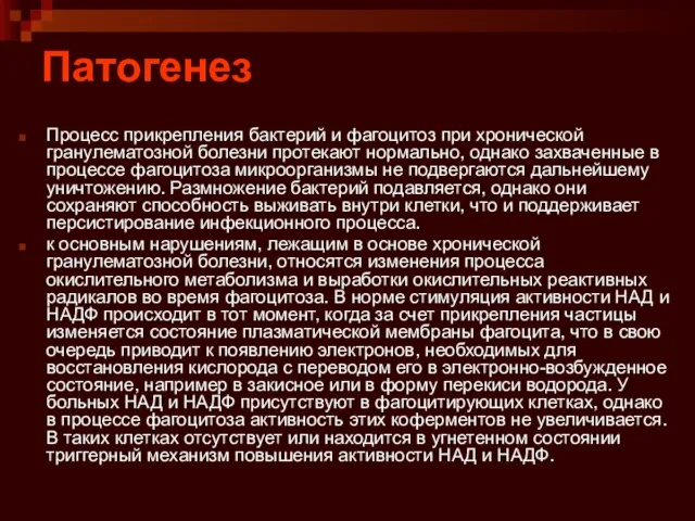 Патогенез Процесс прикрепления бактерий и фагоцитоз при хронической гранулематозной болезни протекают нормально,