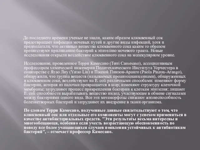 До последнего времени ученые не знали, каким образом клюквенный сок предотвращает инфекции