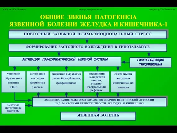 ДОМИНИРОВАНИЕ ФАКТОРОВ КИСЛОТНО-ЖЕЛЧНО-ПЕПТИЧЕСКОЙ АГРЕССИИ НАД ФАКТОРАМИ РЕЗИСТЕНТНОСТИ ЖЕЛУДКА И КИШЕЧНИКА ОБЩИЕ ЗВЕНЬЯ